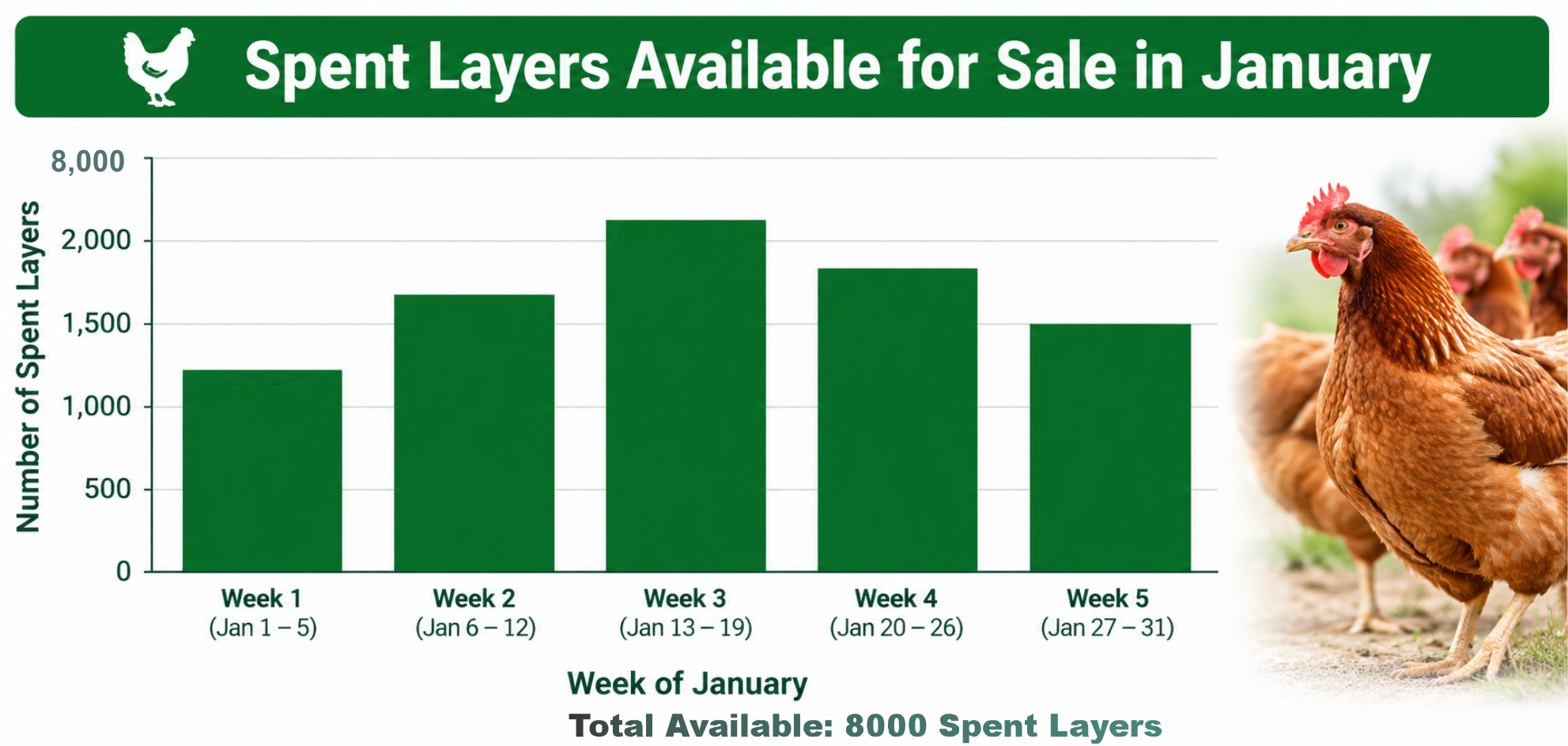 Top Spent Layers Available for Sale